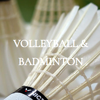 volleyball and badminton