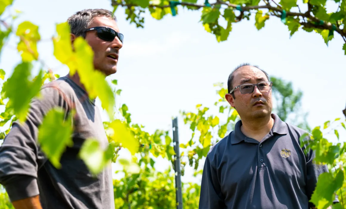 Kyle Mizuno in the vineyard