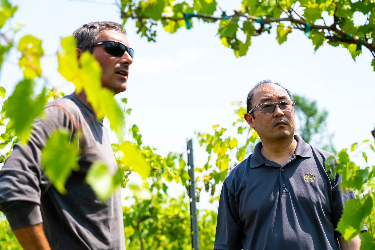 Kyle Mizuno in the vineyard